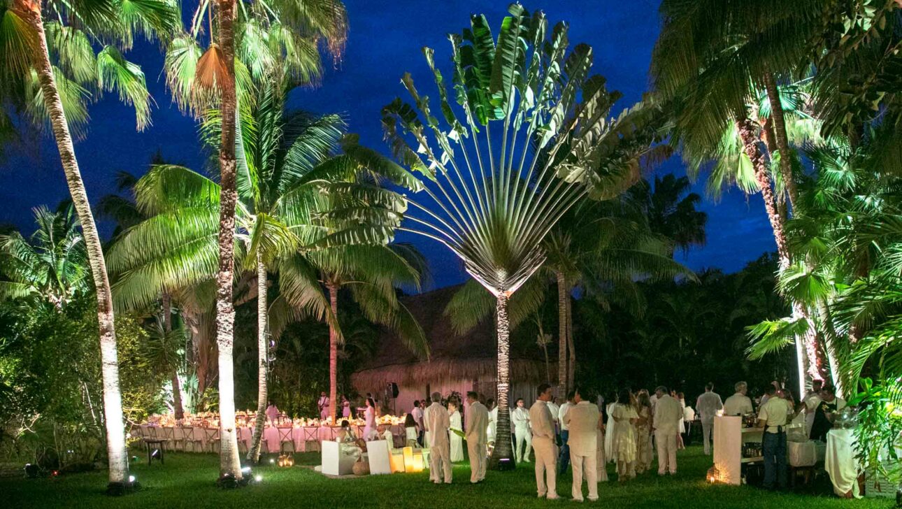 party at night under palm trees.