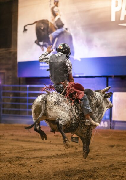 MLB All-Stars Post Draft Party 2024, Live Bull Riding Guest Experience